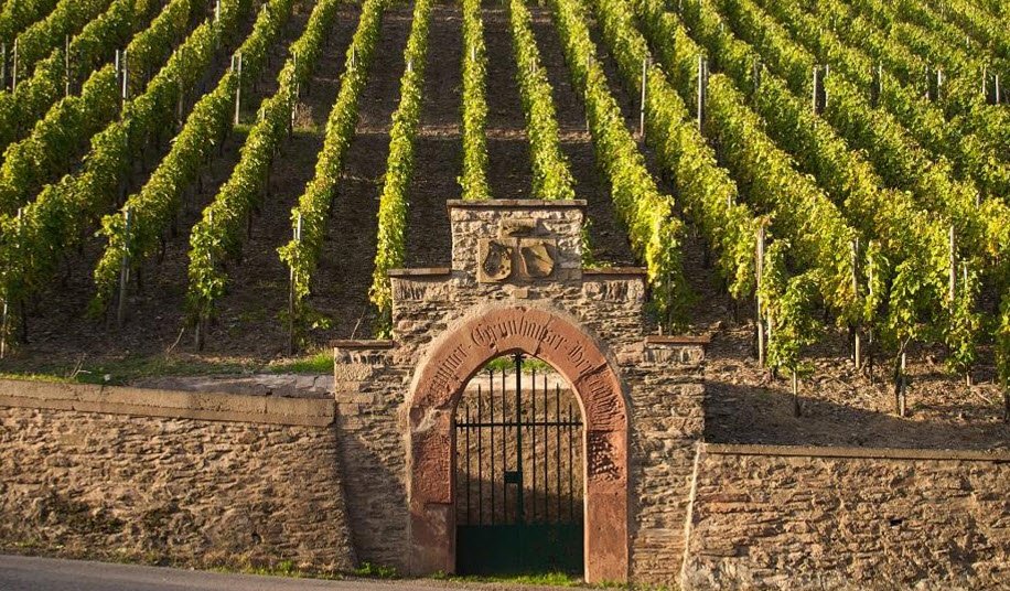 Maximin Grünhaus - Weingut der Familie von Schubert, Germany